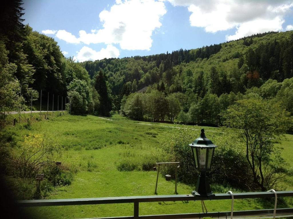 Hotel-Pension Zum Paradies Willingen  Kültér fotó