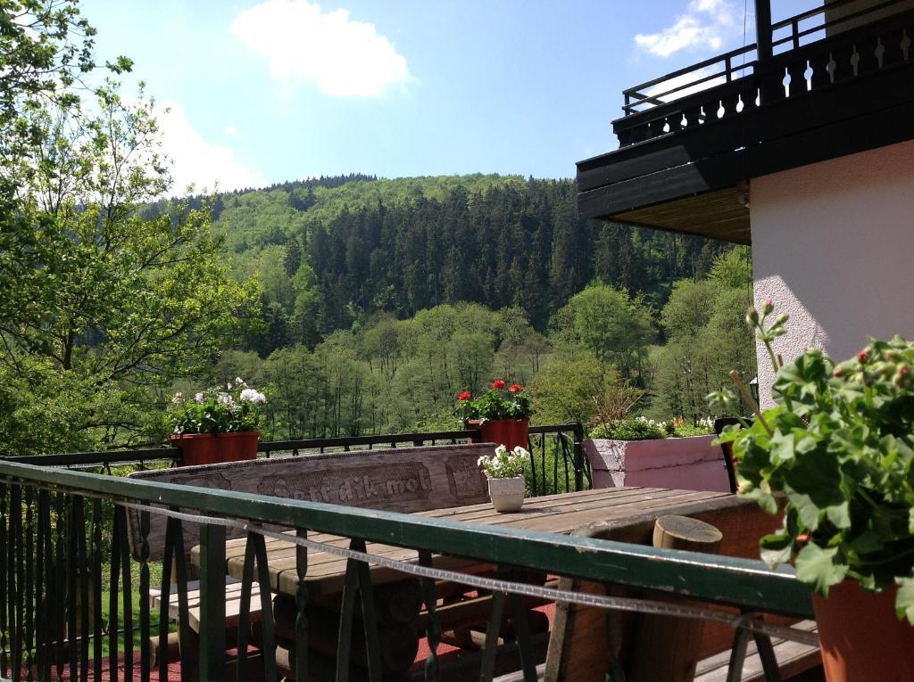 Hotel-Pension Zum Paradies Willingen  Kültér fotó